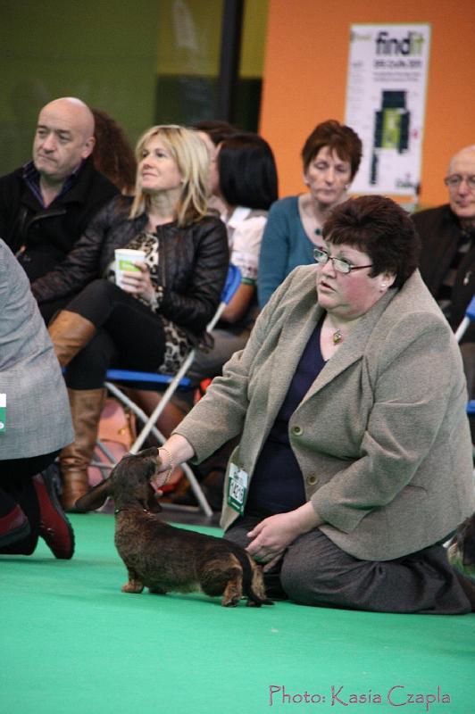 Crufts2011_2 1101.jpg